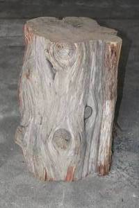 lot 13 image: CEDAR TREE STUMP