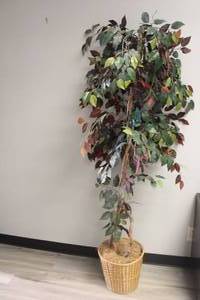 lot 98 image: ARTIFICIAL TREE HOME DECOR