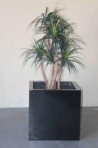lot 63 image: LARGE PLANTER WITH ARTIFICIAL TREE&nbsp