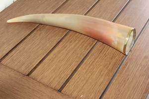 lot 85 image: BUFFALO DRINKING HORN POLISHED&nbsp