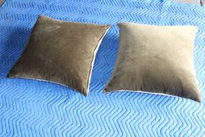 lot 213 image: TOTAL OF&nbsp 2 GREENBEIGE&nbsp TOSS THROW PILLOWS  SEE PICS