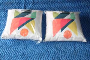 lot 217 image: TOTAL OF 2 SOCIETY 6- TOSS THROW PILLOWS  SEE PICS