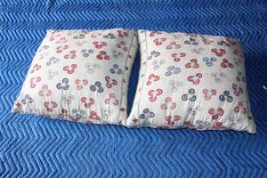 lot 218 image: TOTAL OF 2 TOSS THROW PILLOWS  SEE PICS