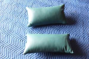lot 229 image: TOTAL OF 2 GREEN LEATHER TOSS THROW PILLOWS  SEE PICS