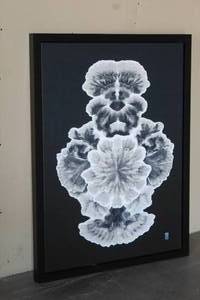 lot 5 image: FLORALFRAMED CANVAS ART 49X 35.5