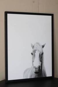 lot 97 image: PRESENCE AFTER FINE ARTS PRINT BY DEBRA BUTLER&nbsp MINTED
