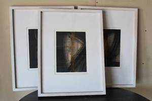 lot 103 image: 3 FRAMED NUTRITIONAL FACTS WALL ART SIGNED AND DATED 23 X 18