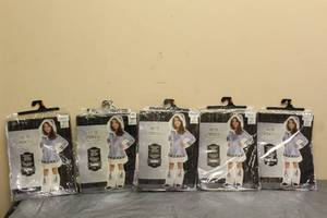 lot 161 image: TOTAL OF 5 ARTIC PRINCESS COSTUMES TODDLERSMALL CHILD&nbsp