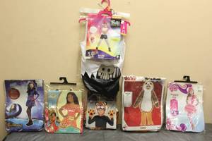 lot 164 image: TOTAL OF 6 ASSORTED HALLOWEEN COSTUMES ADULT KIDS SMALL CHILD SIZES (EACH LOT WILL VARY)