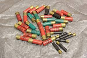 lot 122 image: LOT OF SHOT GUN AMMO