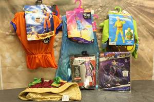 lot 115 image: 6. ASSORTED HALLOWEEN COSTUMES VARIOUS SIZES SEE PICS