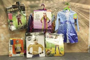 lot 130 image: 6. ASSORTED HALLOWEEN COSTUMES VARIOUS SIZES SEE PICS
