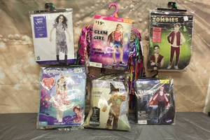 lot 220 image: 6. ASSORTED HALLOWEEN COSTUMES VARIOUS SIZES SEE PICS