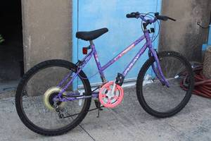 lot 88 image: MURRAY MOUNTAIN CLIMBER 10 SPEED&nbsp