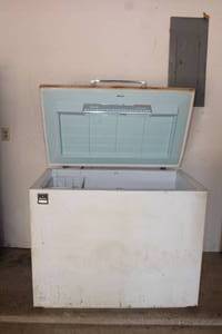 lot 152 image: SIGNATURE DELUXE 15 DEEP FREEZER&nbsp