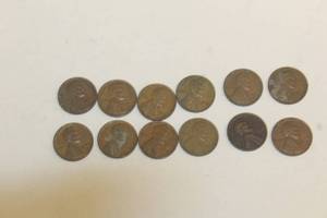 lot 242 image: LOT OF 12 VINTAGE WHEAT PENNIES