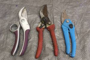 lot 104 image: 3 BYPASS HAND PRUNERS SHEARS