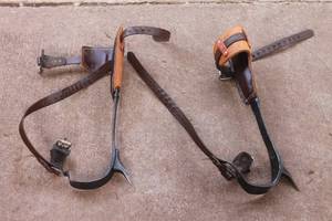 lot 270 image: BASHLIN 140-DS ALUMINUM STEEL SPURS-TREE GAFFS