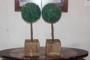 lot 26 image: TOTAL OF 2 DECORATIVE BOXWOOD BALL  WITH POTTED  WOOD BASE