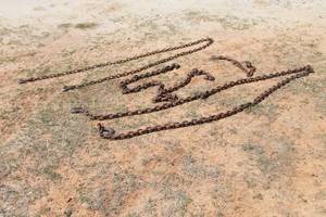 lot 291 image: TOTAL OF 4 ASSORTED SIZE CHAINS WITH HOOKS  SEE PICS