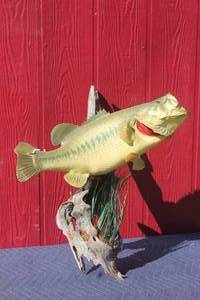 lot 70 image: 5LB BIG MOUTH BASS MOUNTED ON DRIFT WOOD
