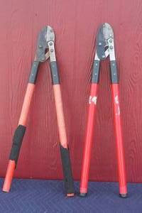 lot 158 image: TOTAL OF 2 PRUNERS LOPPING SHEARS 32