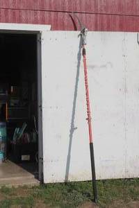 lot 188 image: CORONA 14 POLE TREE PRUNER