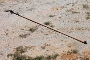 lot 213 image: POLE TREE PRUNER&nbsp