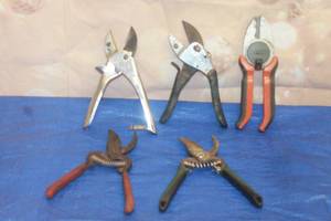 lot 69 image: TOTAL OF 5 ASSORTED BRAND PRUNING SHEARS  SEE PICS&nbsp