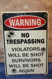 lot 169 image: HANGTIME SP80021 WARNING NO TRESPASSING METAL WALL SIGN 12&nbsp
