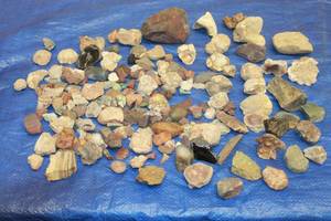 lot 227 image: LOT OF ASSORTED ROCK STONE COLLECTION