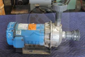lot 207 image: BLUFFTON 1313381107 MOTOR WITH GOULDS WATER&nbsp TECH PUMP MODEL GL SERIES NPE
