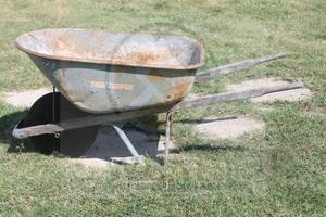 lot 239 image: TRUE TEMPER WHEEL BARREL