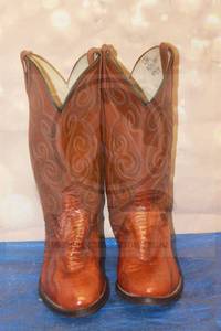 lot 140 image: DAN POST ELPASO 339046 WESTERN BOOTS , SIZE 9D