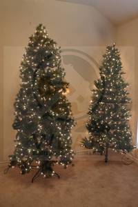 lot 175 image: TOTAL OF 2 PRELIT&nbsp 7,5 FT TALL CHRISTMAS TREE , CASHMERE PINE &amp SLIM YULETIDE PINE IN ORIGINAL BOX  SEE PICS&nbsp