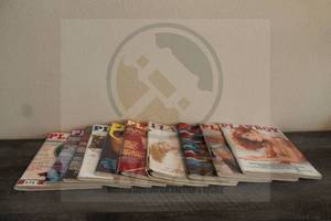 lot 195 image: LOT OF 10 VINTAGE 1982 PLAYBOY MAGAZINES JAN THRU DEC 1982 JAN AND MARCH NOT INCLUDED SEE PICS