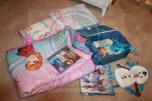 lot 227 image: DISNEY FROZEN LOT SEE PICS