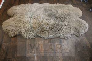 lot 23 image: LARGE WINWARD TOUCH OF LUXURY 100% SUPERIOR QUALITY SHEEP SKIN FROM&nbsp AUSTRALIA &amp&nbsp NEW ZEALAND AREA RUG 721653 , 75 L X 43W&nbsp