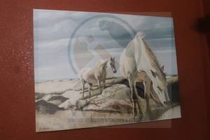 lot 139 image: TWO WHITE HORSES ON SANDY GRASSY LANDSCAPE NEAR WATER&nbsp OIL ON&nbsp CANVAS WALL ART SIGNED ERBAIN&nbsp 40W X 30H