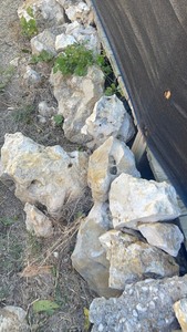 lot 329 image: GENEROUS AMOUNT OF ASSORTED SIZE LANDSCAPE ROCKS THROUGHOUT PROPERTY  SMALL TO VERY LARGE , BRING HELP  SEE PICS &amp VIDEO&nbsp