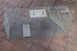 lot 282 image: 1-DOOR LIVE ANIMAL&nbsp RODENT&nbsp CAGE TRAP&nbsp