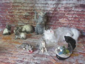 lot 237 image: 8PC CAT LOT