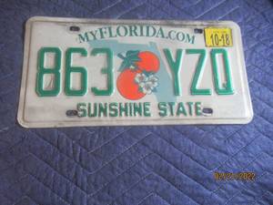 lot 45 image: VINTAGE FLORIDA LICENSE PLATE