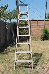 lot 9 image: HEAVY DUTY GREEN BULL 8FT LADDER