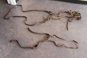 lot 10 image: LEATHER CURB BIT AND LEATHER REINS