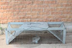 lot 309 image: HAVAHART RODENT TRAP