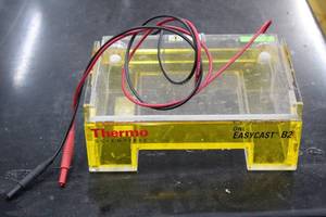 lot 40 image: THERMO SCIENTIFIC OWL EASY CAST B2, MINI GEL ELECTROPHORESIS SYSTEMS MODEL 7315
