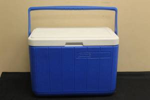 lot 173 image: COLEMAN ICE CHEST 14X18