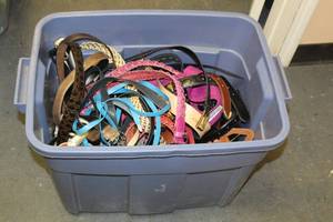 lot 125 image: GENEROUS AMOUNT OF ASSORTED LADIES FASHION BELTS&nbsp