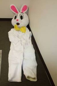 lot 59 image: ADULT EASTER RABBIT MASCOT COSTUME (COMPLETE ) SIZE STANDARD  SEE PICS&nbsp